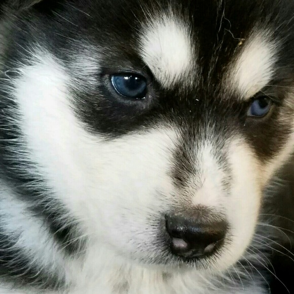 Meet your Posher, Colleen - Picture 1 of 2